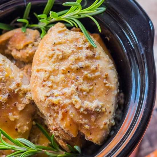 Slow Cooker Apple Cider Chicken - Recipe photo by homeandplate