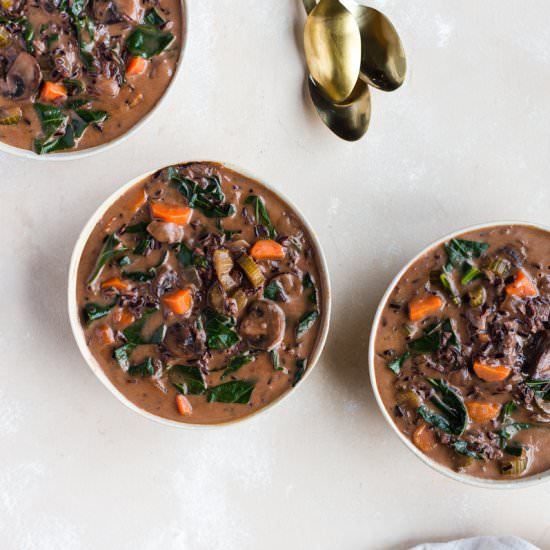 VEGETABLE WILD RICE SOUP - Recipe photo by nattwrobel