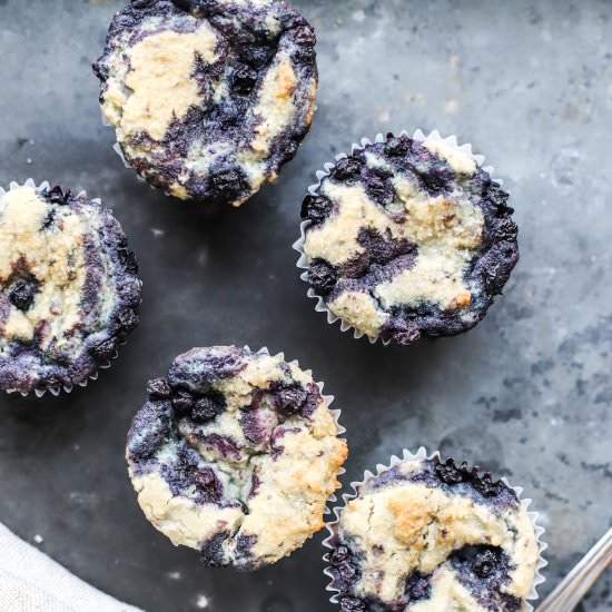 Vegan Wild Blueberry Muffins - Recipe photo by goldenbarrel