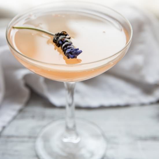 Lavender Grapefruit Mimosa - Recipe photo by hungerthirstplay