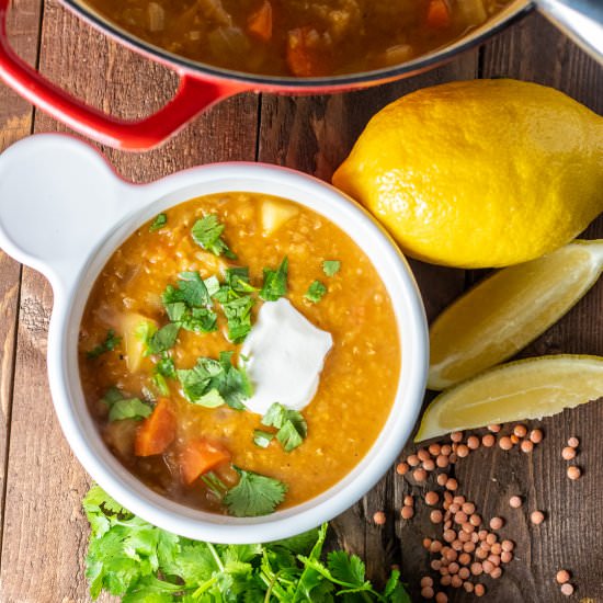 One Pot Country Lentil Soup - Recipe photo by catzinthekitchen