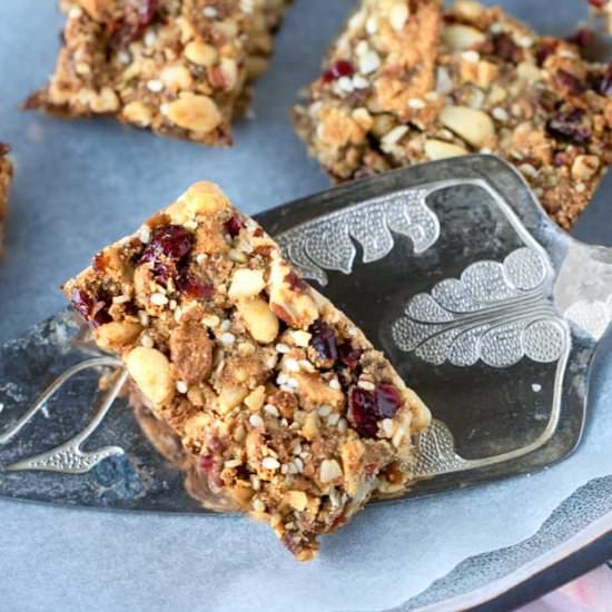 Healthy Snack Bars - Recipe photo by panning the globe