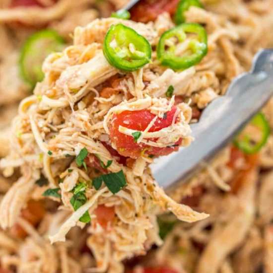 Instant Pot Salsa Chicken - Recipe photo by peasandpeonies