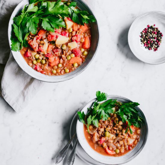 Vegan Potato Lentil Stew - Recipe photo by The Green Creator