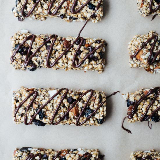 Chocolate Blueberry Snack Bars - Recipe photo by plantedpurpose