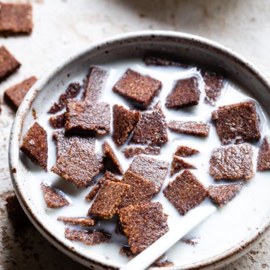 Low Carb Cinnamon Toast Crunch - Recipe photo by foodfaithfitness