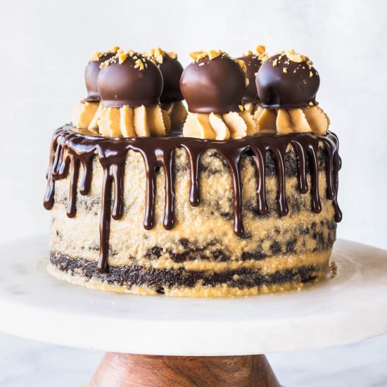 Chocolate Peanut Butter Vegan Cake - Recipe photo by piesandtacos