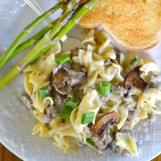 Easy Beef Stroganoff Skillet Dinner - Recipe photo by Shari Lynne