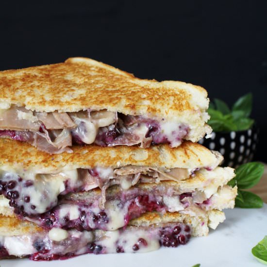 Blackberry Brie Grilled Cheese - Recipe photo by zestandsimmer