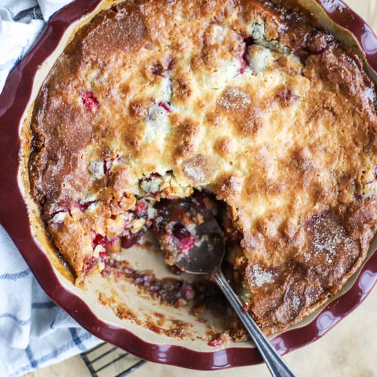 Easy Cranberry Apple Cake - Recipe photo by goldenbarrel