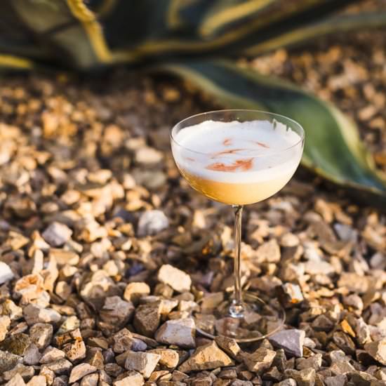 Mezcal Sour - Recipe photo by saltpepperskillet