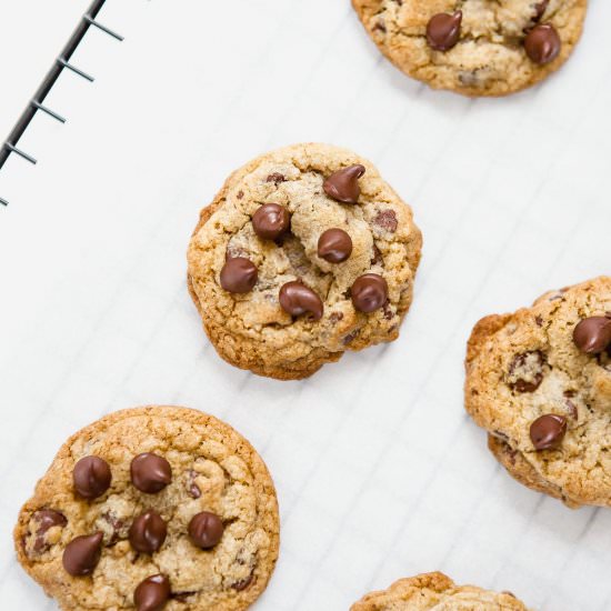 Chewy Chocolate Chip Cookies - Recipe photo by Azestybite