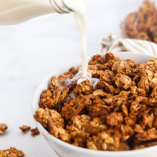 Cinnamon Pretzel Granola - Recipe photo by Colleen Christensen