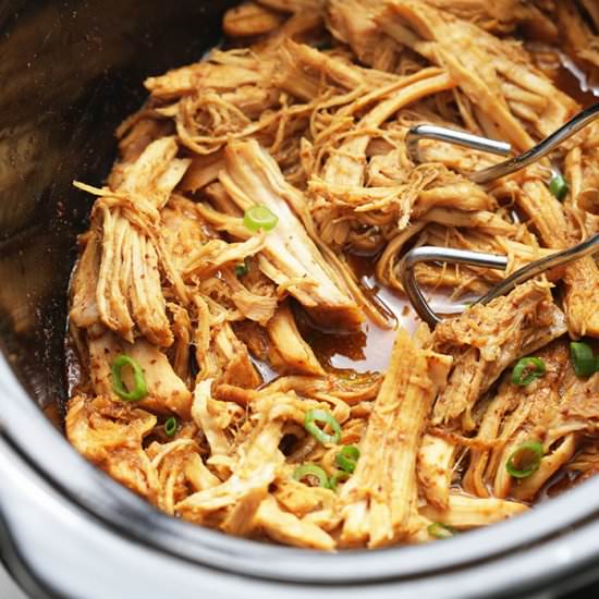Slow Cooker Asian Pulled Pork - Recipe photo by prettylittleapron