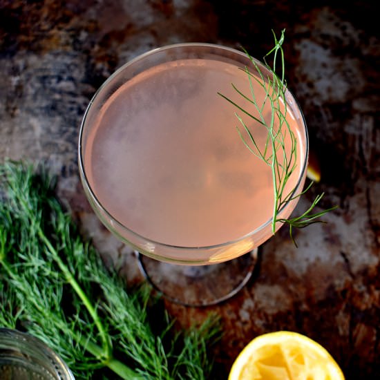 Fennel Gin Cocktail - Recipe photo by The Boozy Oyster