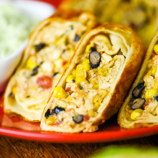 Southwestern Egg Rolls - Recipe photo by dudethatcookz