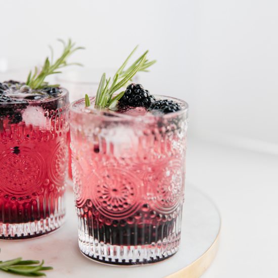Blackberry Lime Gin and Tonic - Recipe photo by baking-ginger