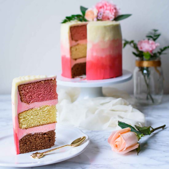 Neapolitan Cake - Recipe photo by pepperdelight
