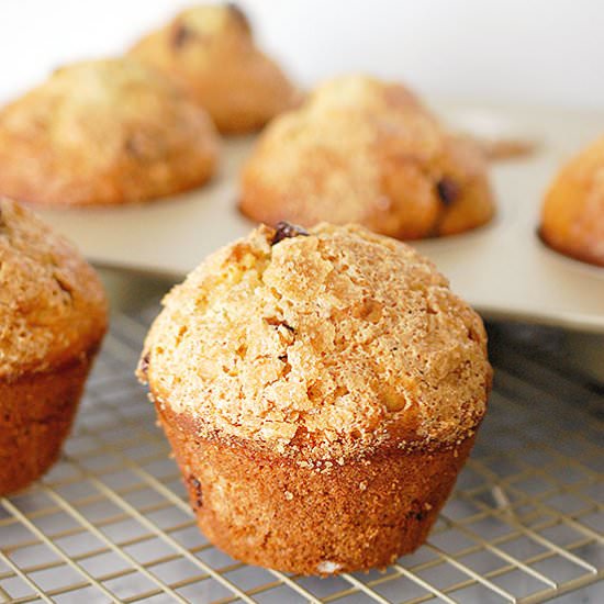 Jumbo chocolate chip muffins - Recipe photo by evabakes