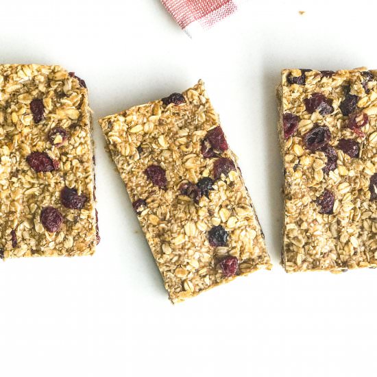 Overnight Oat Bars - Recipe photo by Nictastingspoon