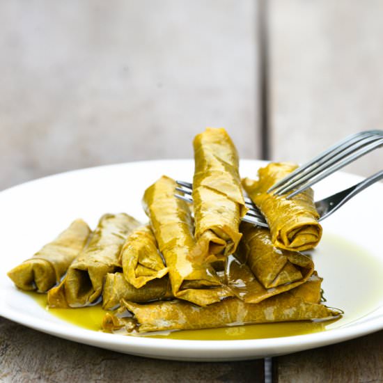 Labneh Stuffed Grape Leaves - Recipe photo by hadias lebanese cuisine