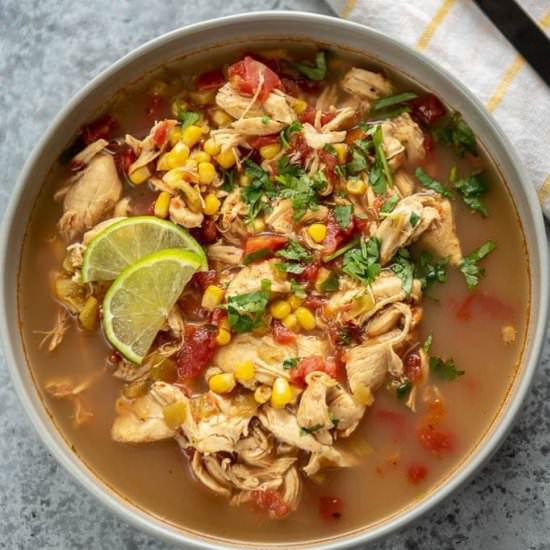 Slow Cooker Spicy Chicken Soup - Recipe photo by slowcookergourmet
