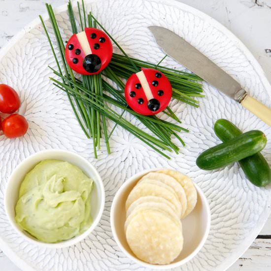 Ladybird Lunchbox Idea - Recipe photo by ThermoKitchen