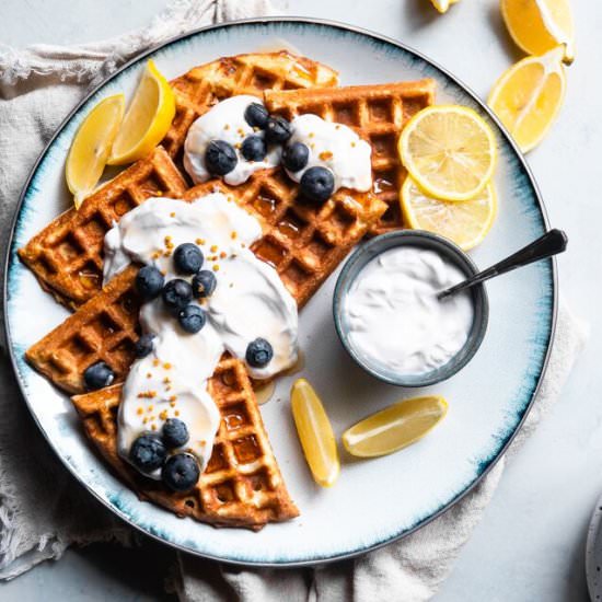 Blueberry Greek Yogurt Waffles - Recipe photo by foodfaithfitness