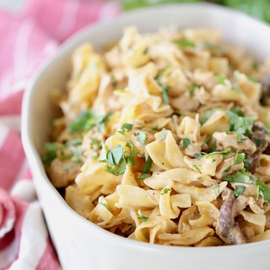 Instant Pot Chicken Stroganoff - Recipe photo by Whitney Bond