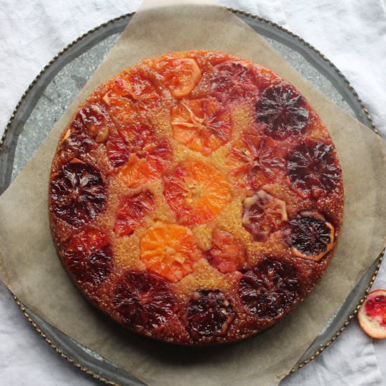 Blood Orange Upside Down Cake - Recipe photo by cakebloom