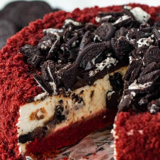 Red Velvet Oreo Cheesecake - Recipe photo by QueensleeAppetit