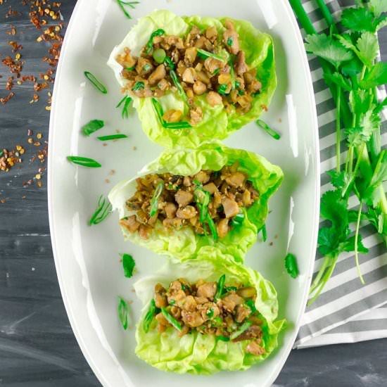Asian Chicken Lettuce Wraps - Recipe photo by savorwithjennifer.com
