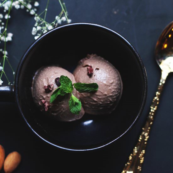 Vegan Ice Cream – Sugar Free - Recipe photo by crystalsrecipes