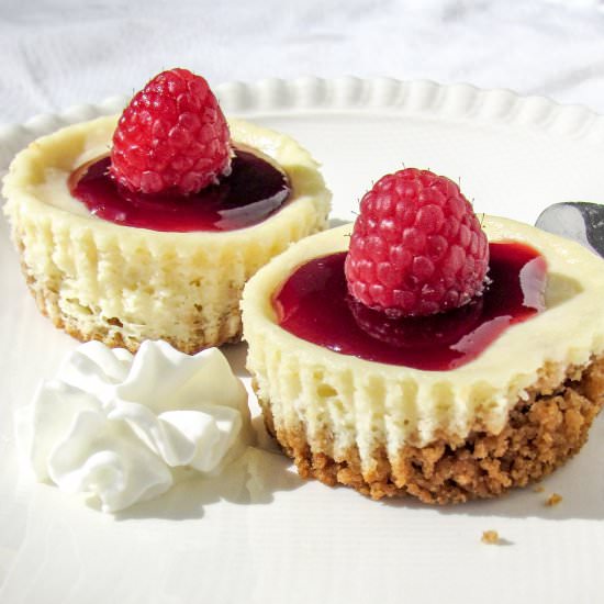 Berry Cheesecakes - Recipe photo by whiteflowerlane
