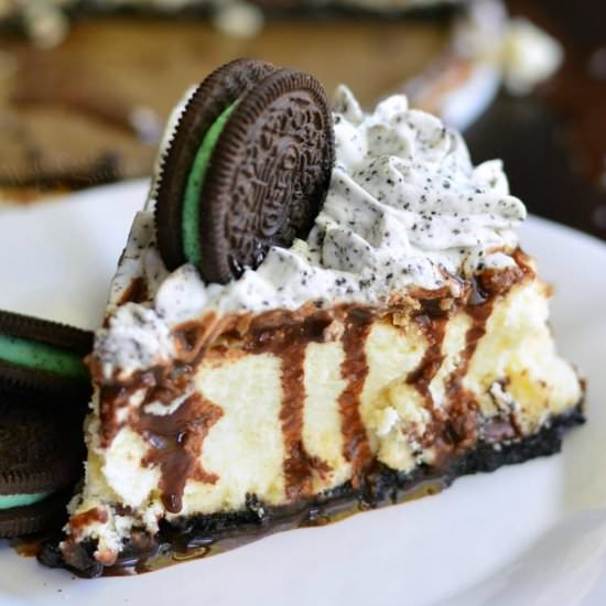 Oreo Mint Chocolate Chip Cheesecake - Recipe photo by WillCookForSmiles