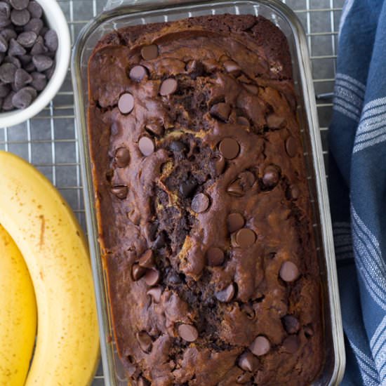Chocolate Banana Bread - Recipe photo by kristines kitchen