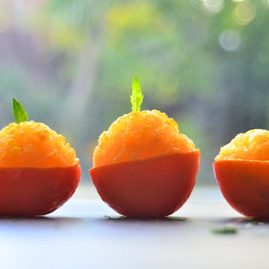 Orange Sorbet | A Palate Cleanser - Recipe photo by Eat More Art