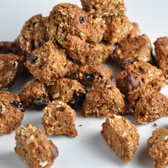 Healthy Homemade Coconut and Chocol - Recipe photo by Fit Food Wizard