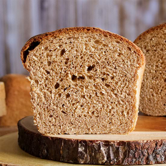 Simple Homemade Whole Wheat Bread - Recipe photo by BatterandDough