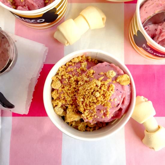 Mixed Berry Doggie Ice Cream - Recipe photo by Theyummymuffin