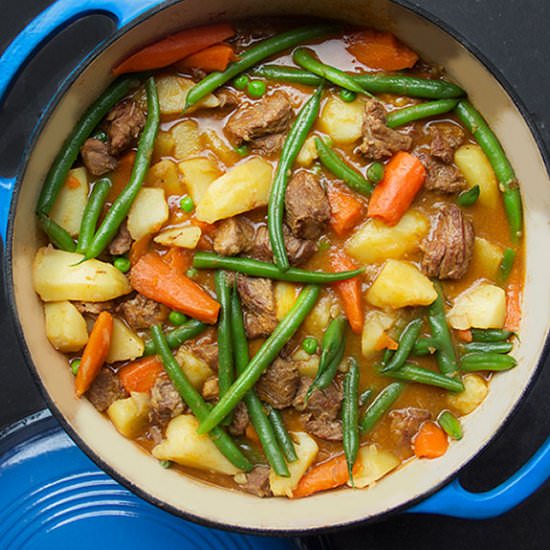 Lamb Stew with Spring Vegetables - Recipe photo by panning the globe