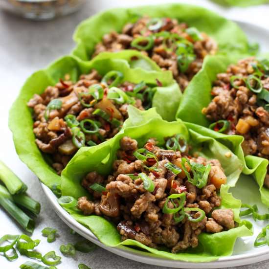 Asian Lettuce Wraps - Recipe photo by Joyous Apron