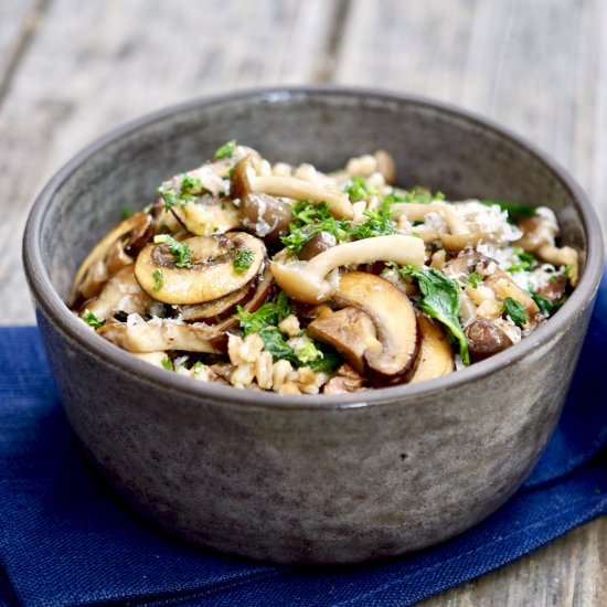 Mushroom farro With Truffle Oil - Recipe photo by simmerandsauce
