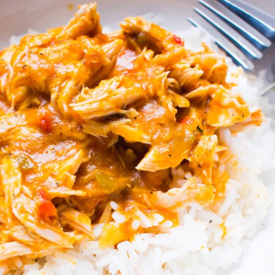 Instant Pot Salsa Chicken - Recipe photo by bluebowlrecipes