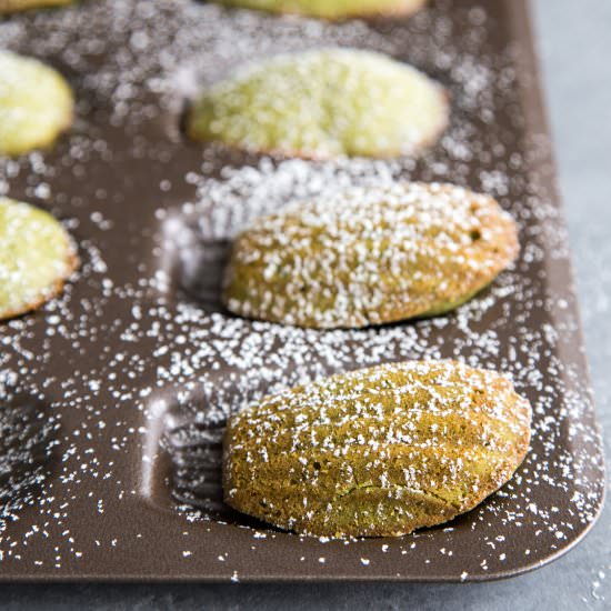 Matcha Madeleines - Recipe photo by Wild wild whisk