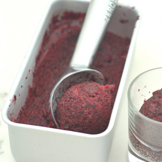 No Churn Blueberry Sorbet - Recipe photo by My Flourless Kitchen