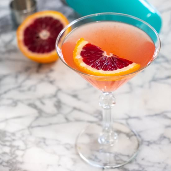 Blood Orange Martini - Recipe photo by sidewalkshoes