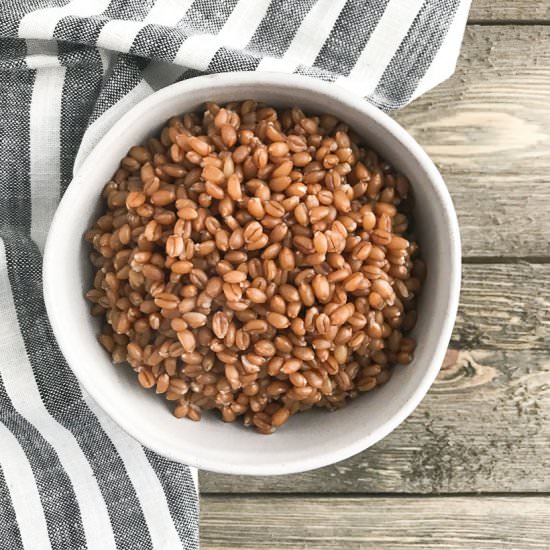 Instant Pot Wheat Berries - Recipe photo by ChefJulie_RD