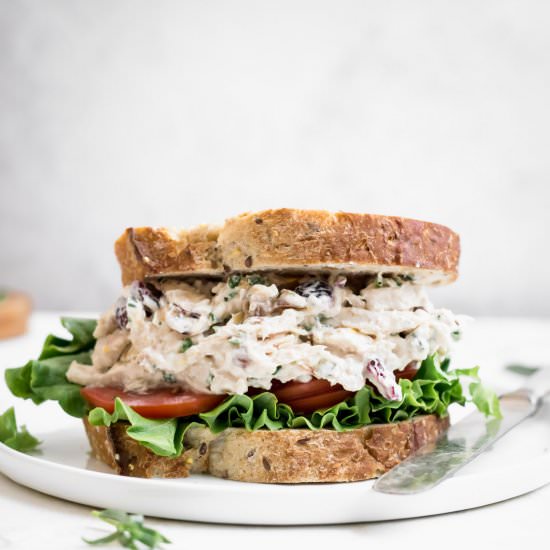 Paleo Cranberry Chicken Salad - Recipe photo by wellfedsoul