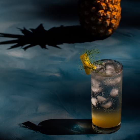 Pineapple fennel shrub syrup - Recipe photo by peck of pickles